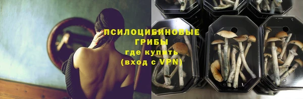 ECSTASY Абаза