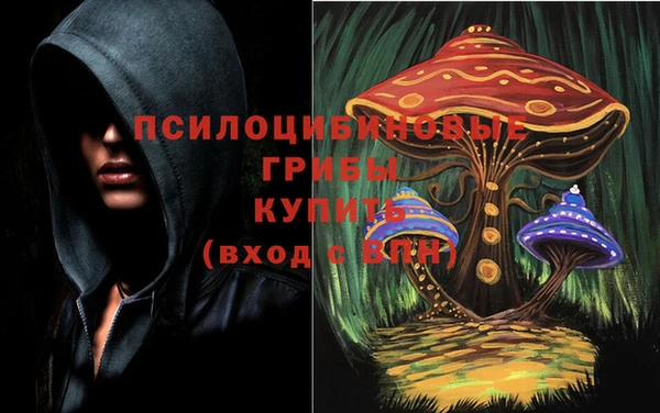 ECSTASY Абаза