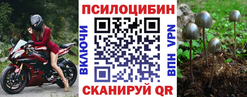 Галлюциногенные грибы MAGIC MUSHROOMS  как найти   Новое Девяткино 