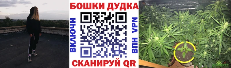 цены наркотик Новое Девяткино Конопля гибрид